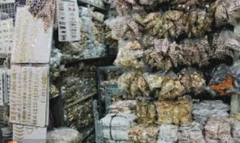 phụ liệu may mặc
